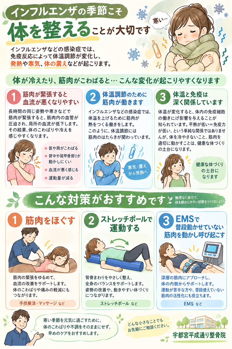 🤧 インフルエンザの季節こそ「体を整える」ことを大切に【宇都宮市の宇都宮平成通り整骨院】