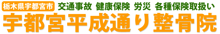 栃木県宇都宮市の交通事故、健康保険、ｍ労災、各種保険取扱い宇都宮平成通り整骨院